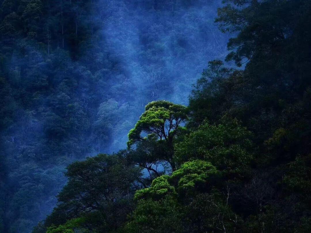 长靴子