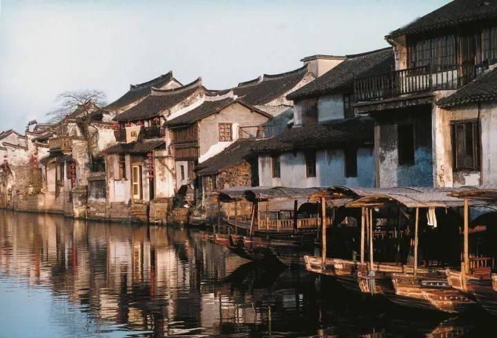 救援淘气的小狗